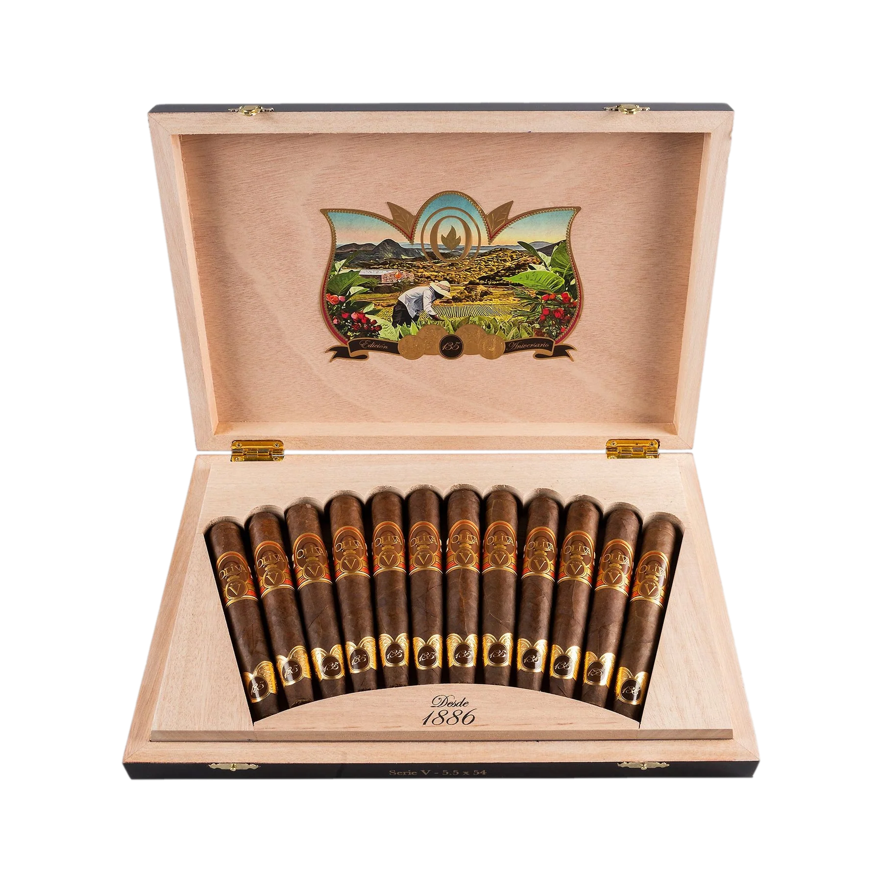 Trabucuri Oliva 135th ANNIVERSARY