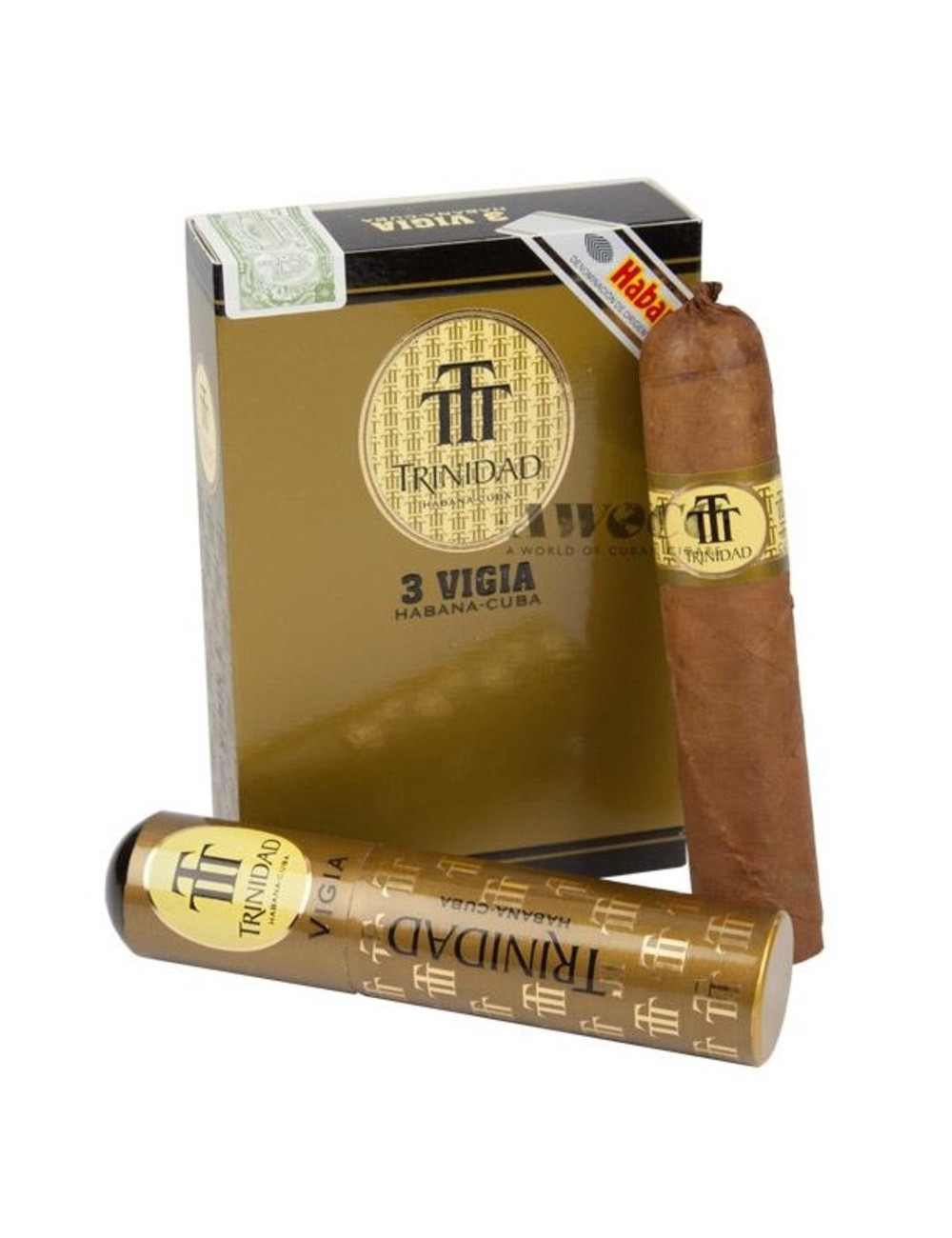 Vigia